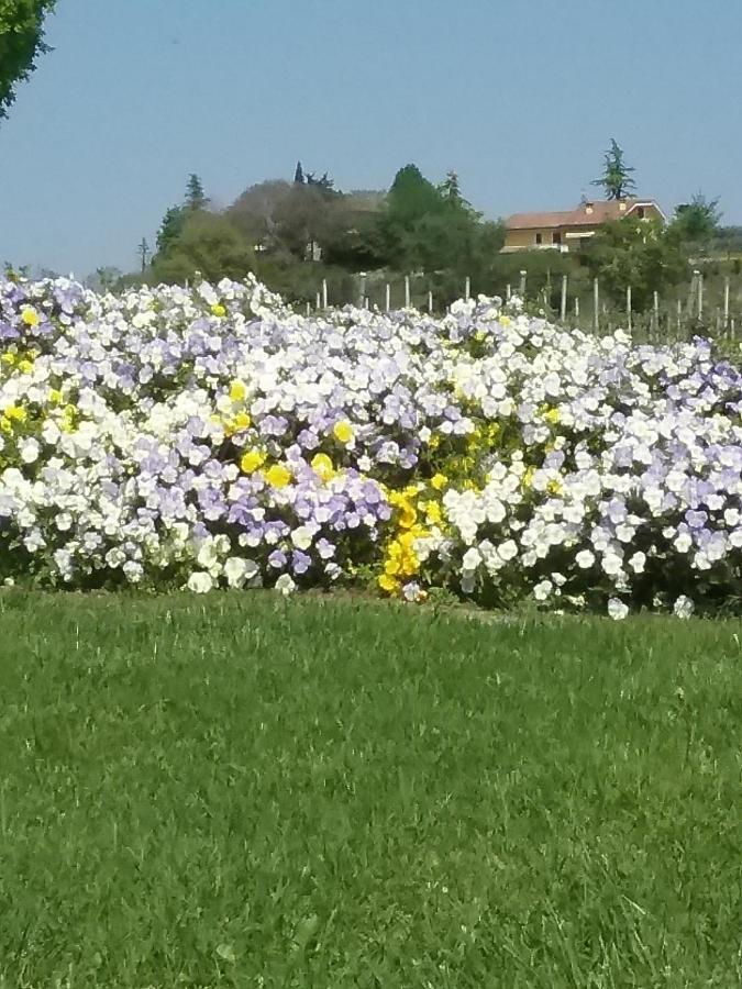 Appartamento Filippo Castelnuovo del Garda Buitenkant foto