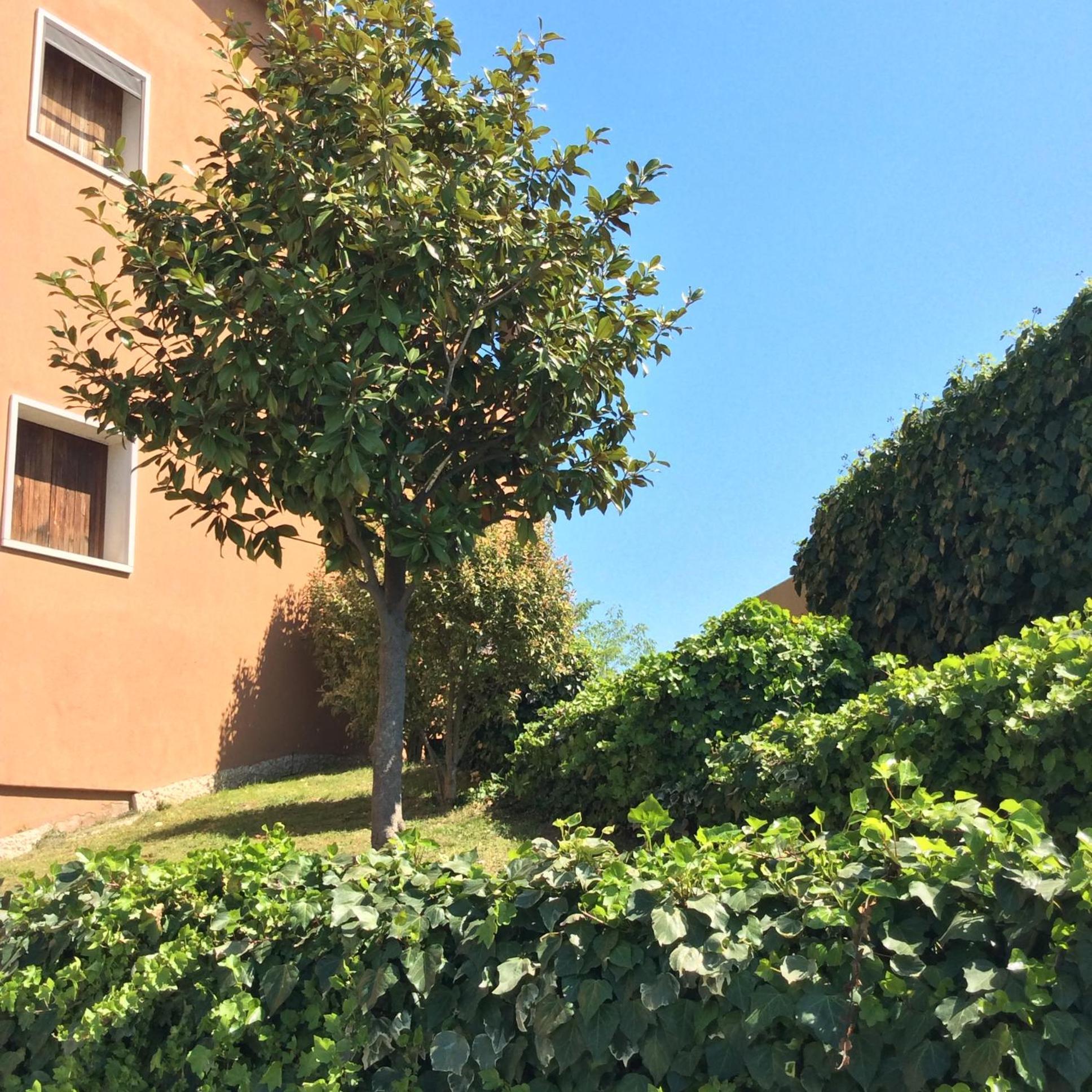 Appartamento Filippo Castelnuovo del Garda Buitenkant foto